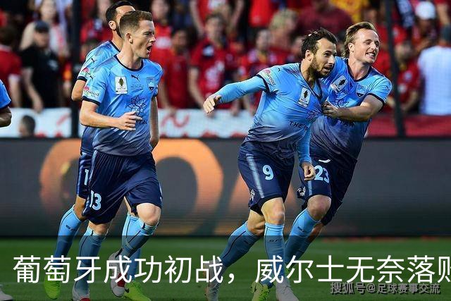 葡萄牙成功初战，威尔士无奈落败！